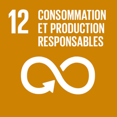 12-consommation-et-production-responsables-400x400