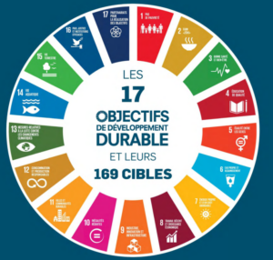 17 Objectifs du Développement Durable (ODDs)de l’ONU.